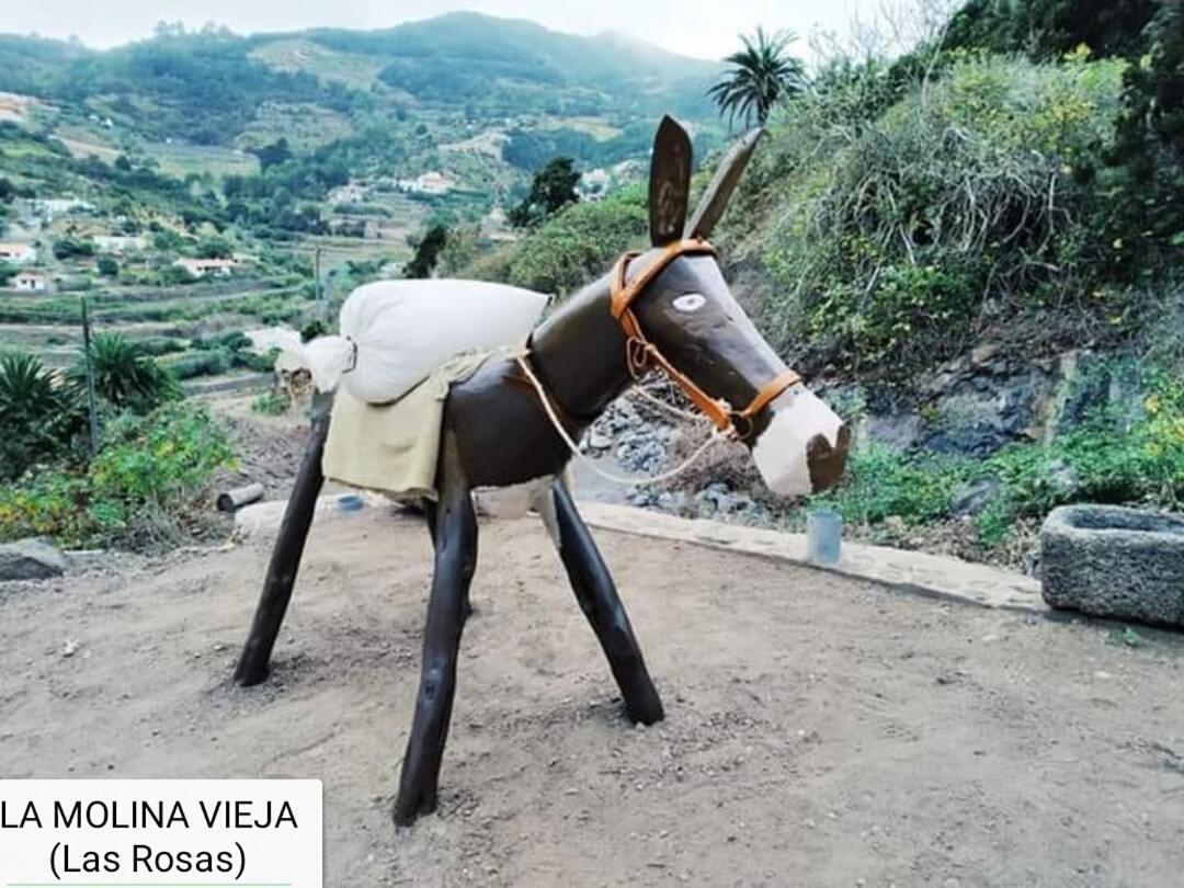 Villa Casa Maria Agulo Exterior foto